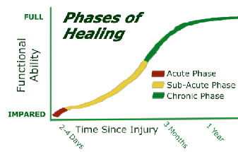 Phases of Healing