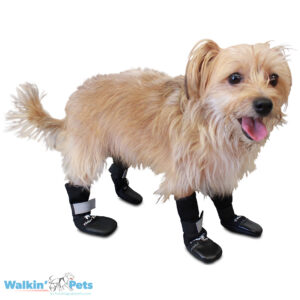Dog Boots and Pet Booties from Walkin' Wheels