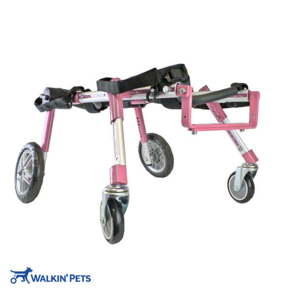 quad wheelchair for medium dog