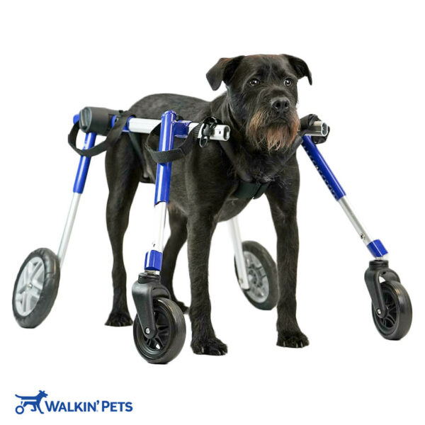 Full support dog wheelchair for medium pets