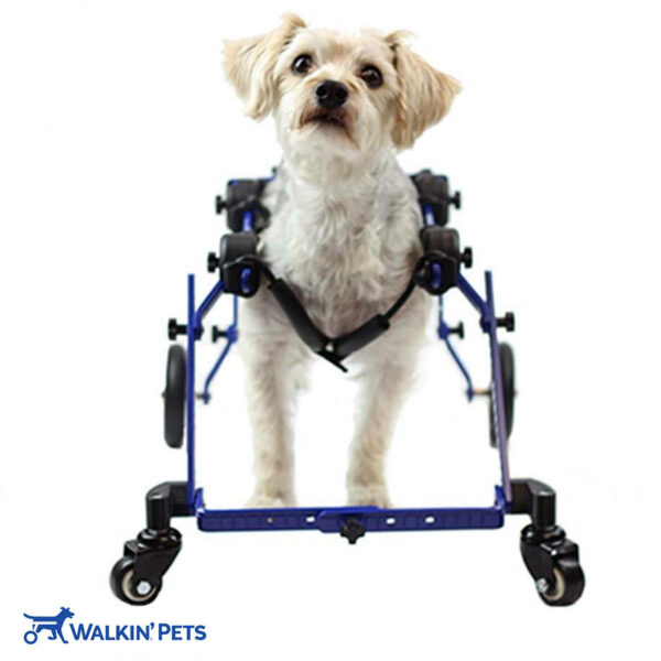 Fully supportive dog wheelchair for toy dogs