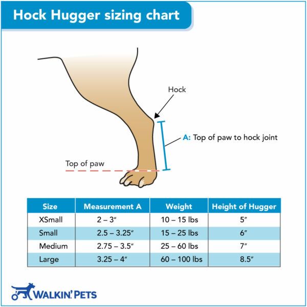 Hock hugger sizing chart