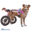Walkin' Warrior front Harness - for dog wheelchair