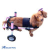 small front vest for dog wheelchair