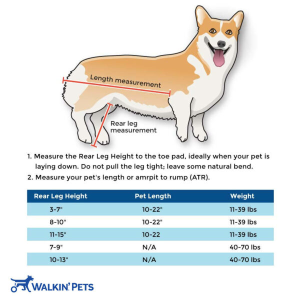 measurement guide for CORGI Dog Wheelchair