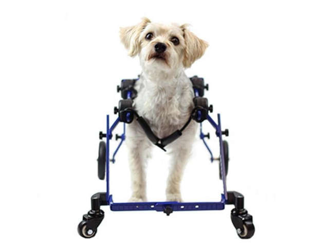 mini quad wheelchair