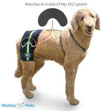 Walkin' Hip-EEZ Support System