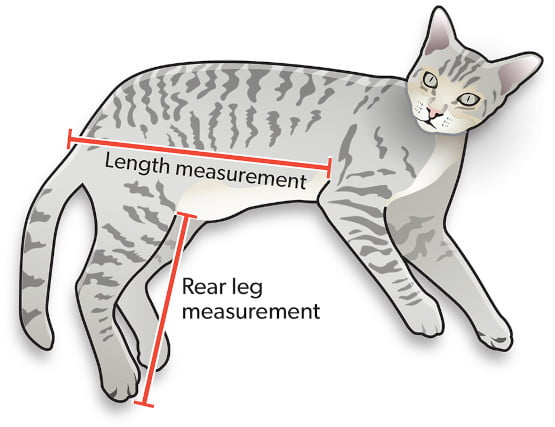 pet measurement guide
