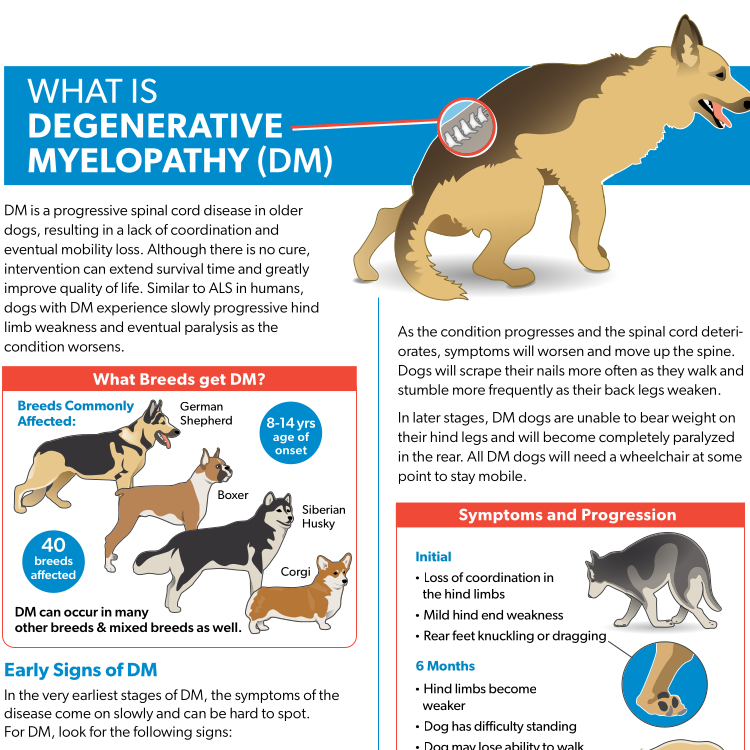 Degenerative Myelopathy-Resource Guide Preview