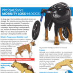 progressive mobility loss resource guide thumbnail
