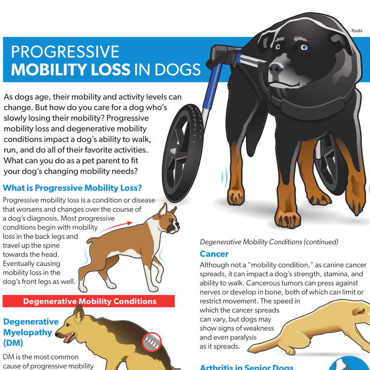 Progressive Mobility Loss Resource Guide Preview