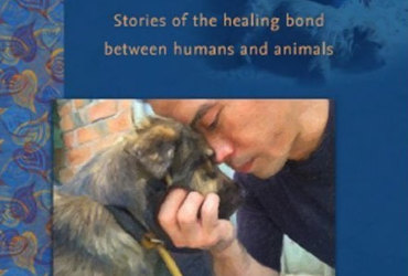 Pet Healer Project