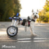 small walkin wheels dog wheelchair seafoam
